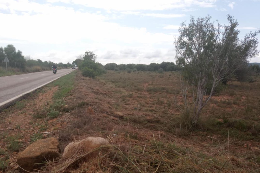 Urbano Solar en venta  en Polgono Gallipont La Pobla De Vallbona Valencia