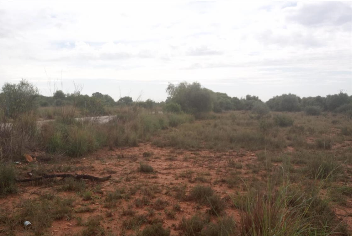Urbano Solar en venta  en Polgono Gallipont La Pobla De Vallbona Valencia