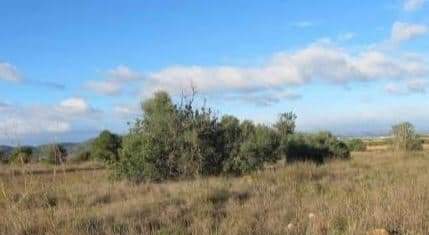 Urbano Solar en venta  en Polgono Gallipont La Pobla De Vallbona Valencia