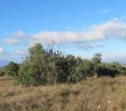 Urbano Solar en venta  en Polgono Gallipont La Pobla De Vallbona Valencia