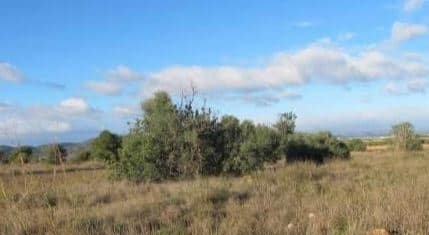Urbano Solar en venta  en Polgono Gallipont La Pobla De Vallbona Valencia