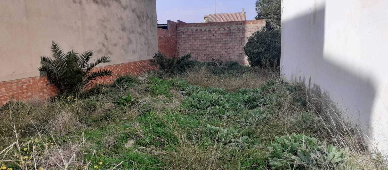 Suelo En Venta En Plana Baixa, Nules