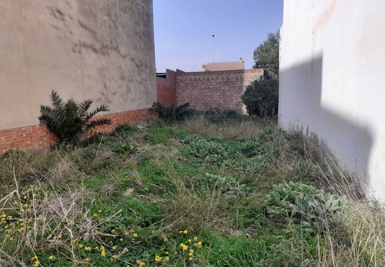 Suelo En Venta En Plana Baixa, Nules