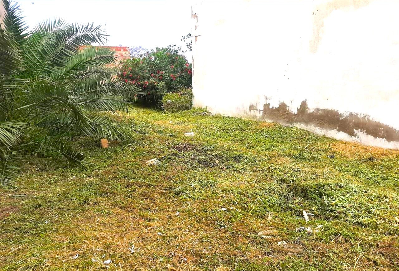 Suelo En Venta En Plana Baixa, Nules