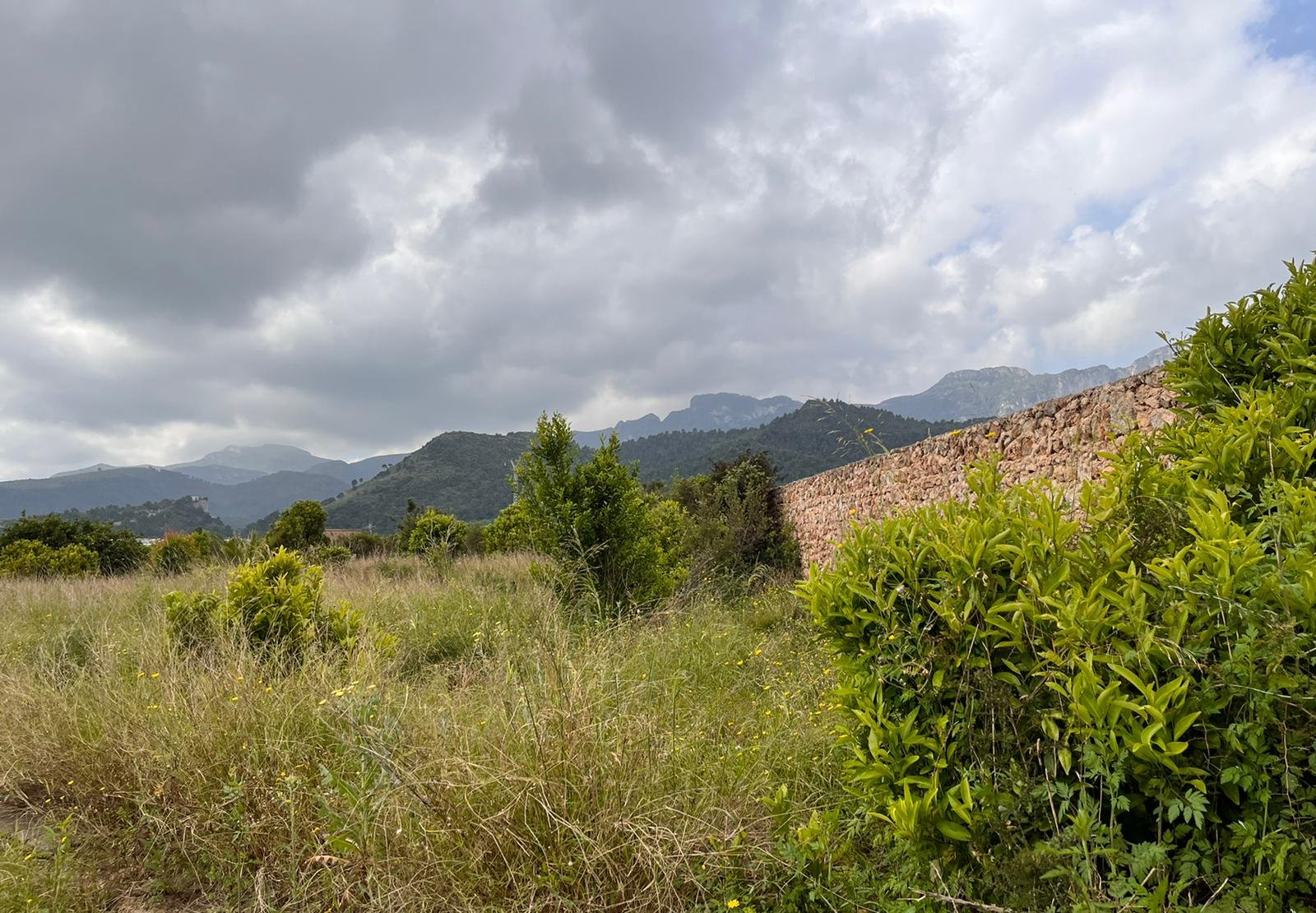 Suelo Urbano Llaurí