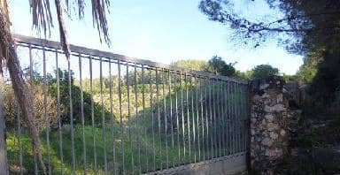 Terreno en venta en Alcira, Valencia