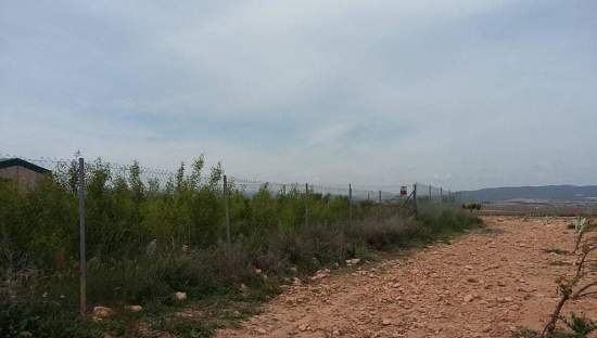 Urbanizable Programado en venta  en Calle Poligono Numero Tres Caudete De Las Fuentes Valencia