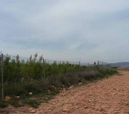 Urbanizable Programado en venta  en Calle Poligono Numero Tres Caudete De Las Fuentes Valencia