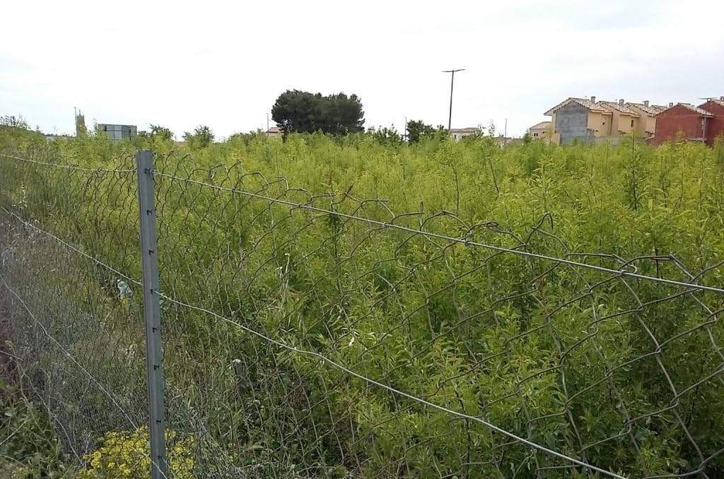 Urbanizable Programado en venta  en Calle Poligono Numero Tres Caudete De Las Fuentes Valencia