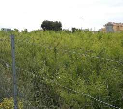Urbanizable Programado en venta  en Calle Poligono Numero Tres Caudete De Las Fuentes Valencia