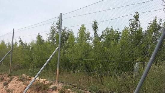 Urbanizable Programado en venta  en Calle Poligono Numero Tres Caudete De Las Fuentes Valencia
