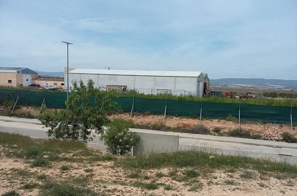 Urbanizable Programado en venta  en Calle Poligono Numero Tres Caudete De Las Fuentes Valencia
