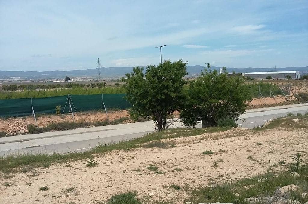 Urbanizable Programado en venta  en Calle Poligono Numero Tres Caudete De Las Fuentes Valencia