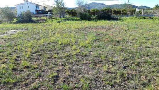 Terreno Urbano en venta en Peñíscola, Castellón