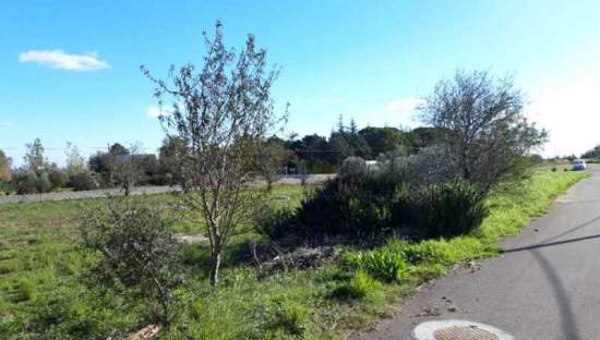Terreno Urbano en venta en Peñíscola, Castellón