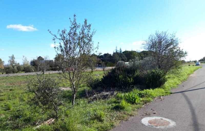 Terreno Urbano en venta en Peñíscola, Castellón