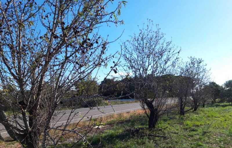 Terreno Urbano en venta en Peñíscola, Castellón