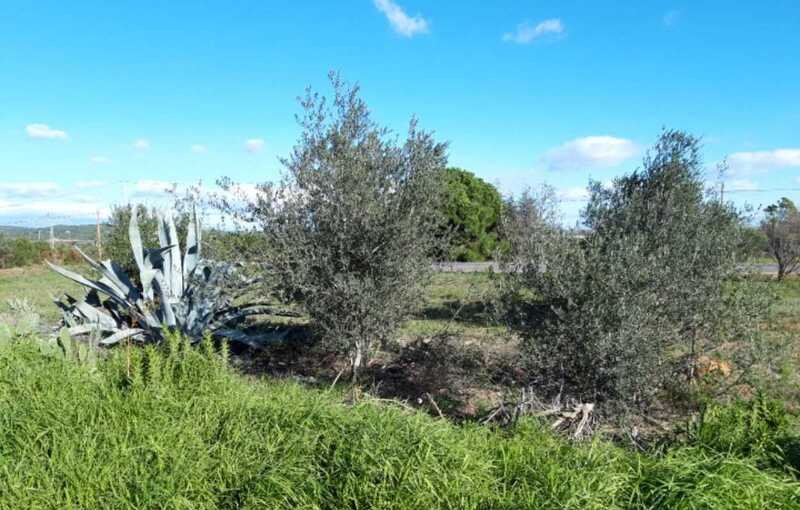 Terreno Urbano en venta en Peñíscola, Castellón