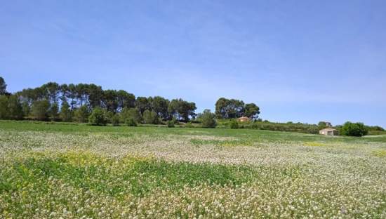 Solar en venta en Polgono Pol 1 Parc 28 Ip-09 Agullent Valencia