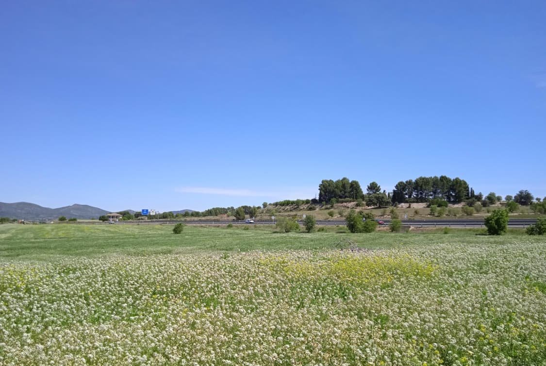 Solar en venta en Polgono Pol 1 Parc 28 Ip-09 Agullent Valencia