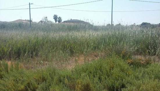 Urbanizable Programado en venta  en Calle Tomas Ferrando Ramon Benicasim Castelln