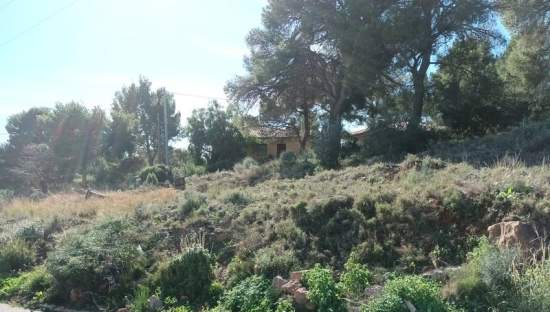 Descubre finca rstica en cpoligono 35 parcelas 385 386 391 Serra por 26000 de 336m
