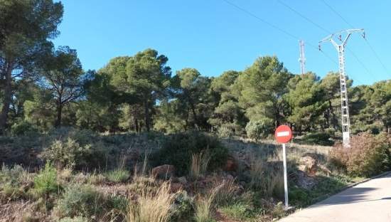Descubre finca rstica en cpoligono 35 parcelas 385 386 391 Serra por 26000 de 336m