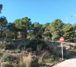 Descubre finca rstica en cpoligono 35 parcelas 385 386 391 Serra por 26000 de 336m