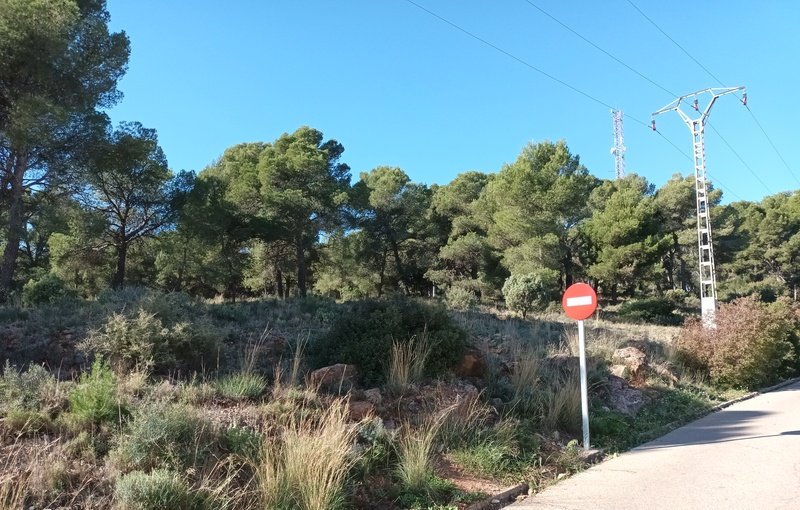 Descubre finca rstica en cpoligono 35 parcelas 385 386 391 Serra por 26000 de 336m