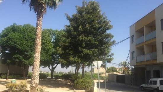 Garaje en venta en Calle Virgen Del Pilar Benejzar Alicante