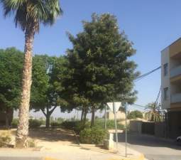Garaje en venta en Calle Virgen Del Pilar Benejzar Alicante