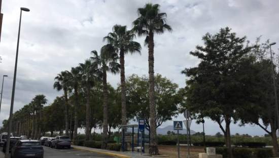 Garaje en venta en Calle Virgen Del Pilar Benejzar Alicante
