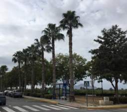 Garaje en venta en Calle Virgen Del Pilar Benejzar Alicante