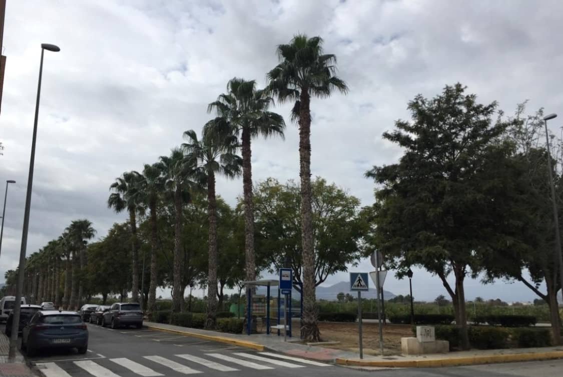 Garaje en venta en Calle Virgen Del Pilar Benejzar Alicante