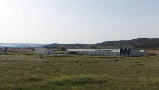 Terreno en venta en Requena, Valencia