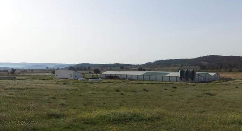 Terreno en venta en Requena, Valencia