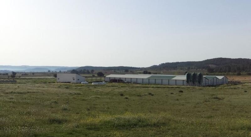 Terreno en venta en Requena, Valencia