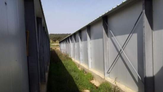 Terreno en venta en Requena, Valencia