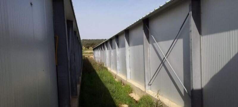Terreno en venta en Requena, Valencia