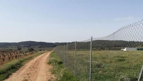 Terreno en venta en Requena, Valencia