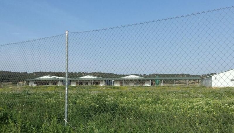 Terreno en venta en Requena, Valencia