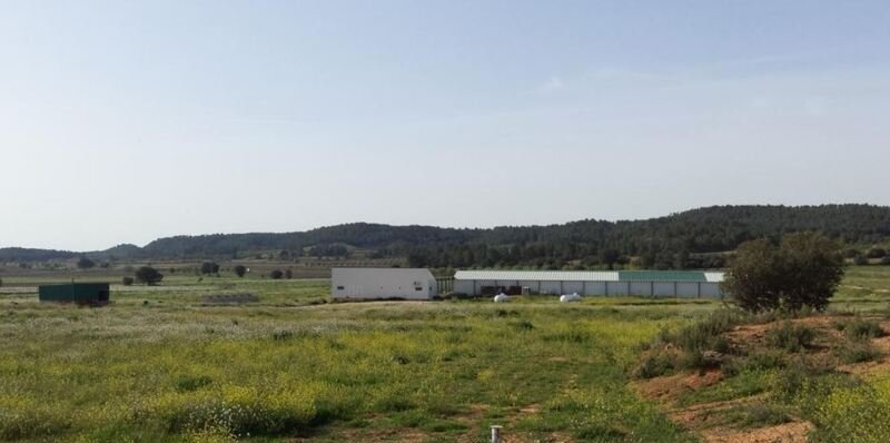 Terreno en venta en Requena, Valencia