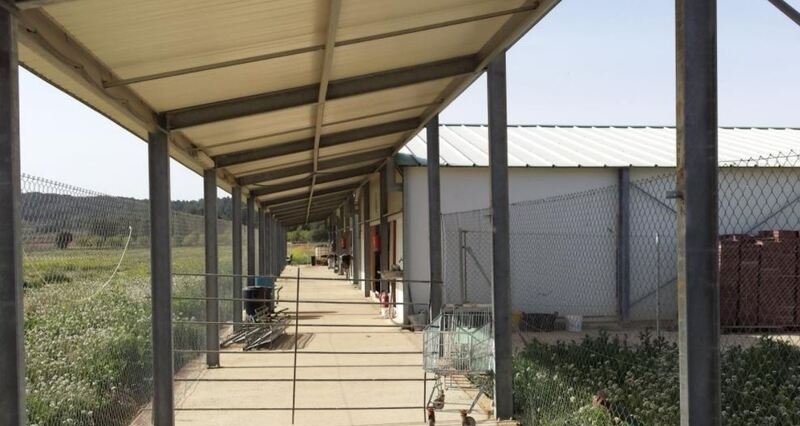 Terreno en venta en Requena, Valencia