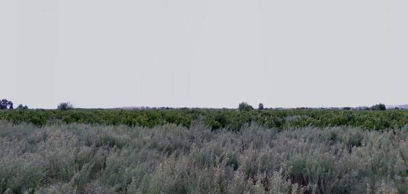 Solar en venta en Calle Les Seits, Baj, 12520, Nules Castellón