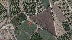 Terreno en venta en Villanueva De Castellón, Valencia