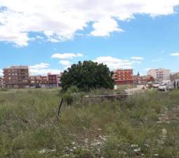 Urbanizable Programado en venta  en Calle Vicario Camarena La Pobla De Vallbona Valencia