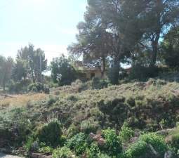 Se oferta suelo urbano residencial por 35000 de 464m en calle poligono 35 parcela 15 en Serra