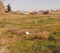 Otros en venta en PLAZA POLIGONO N 6 CASCO, BENIFAI