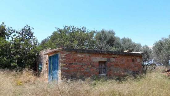 Terreno Rústico en venta en Castellón De La Plana, Castellón