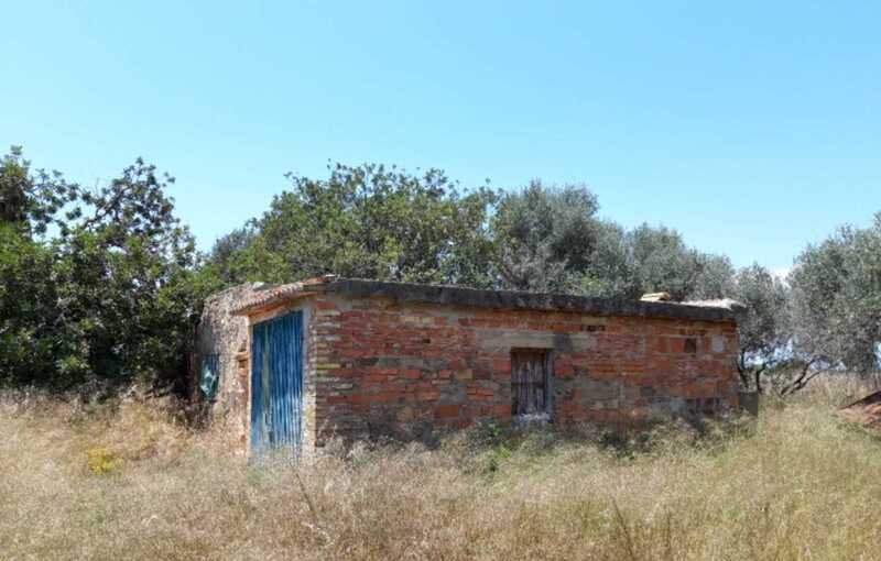 Terreno Rústico en venta en Castellón De La Plana, Castellón